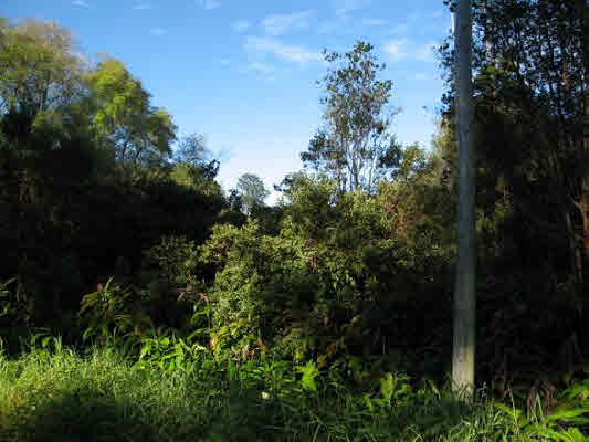 VOLCANO RD Property Photo 1