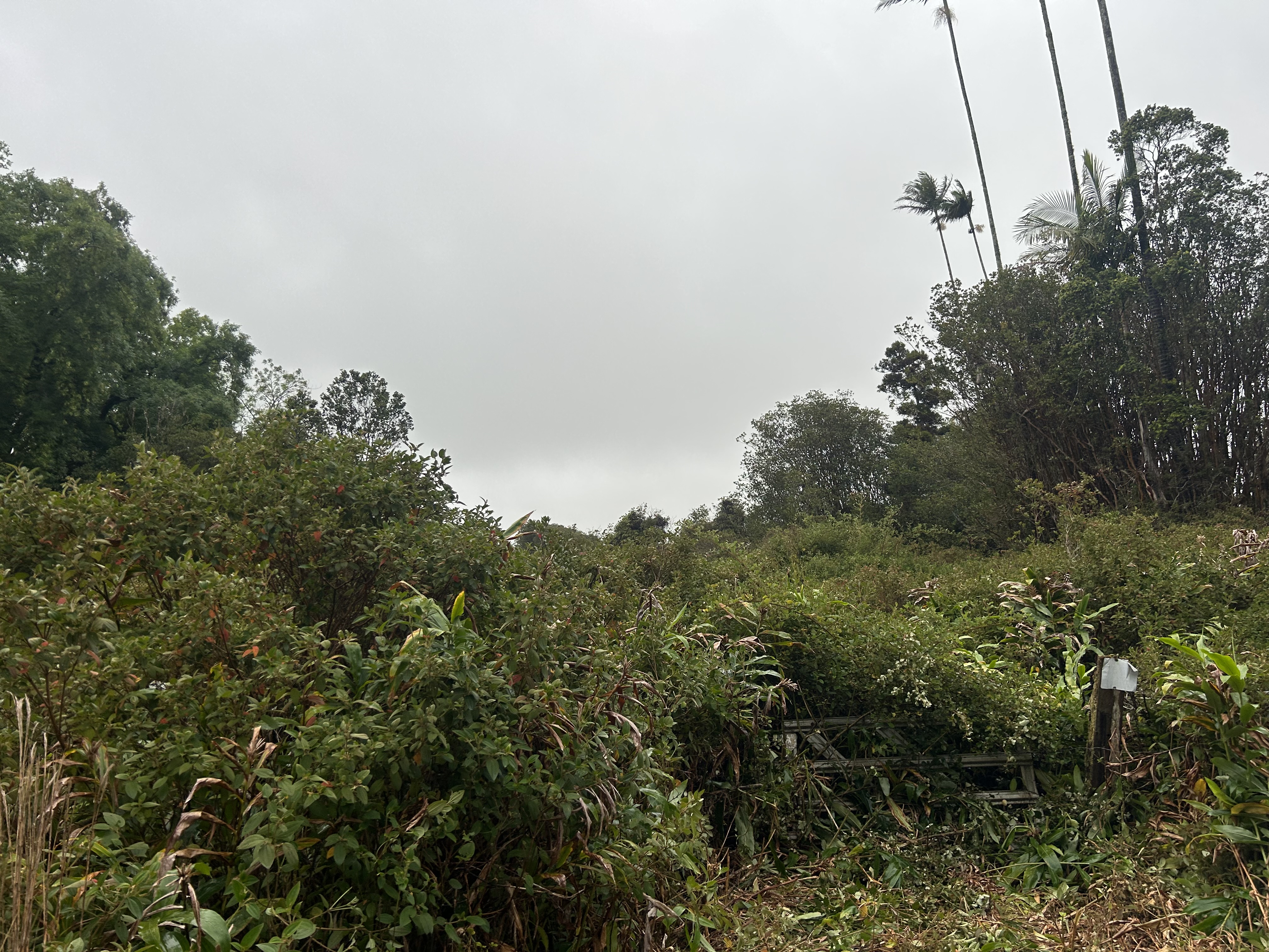 Volcano Rd Property Photo 3