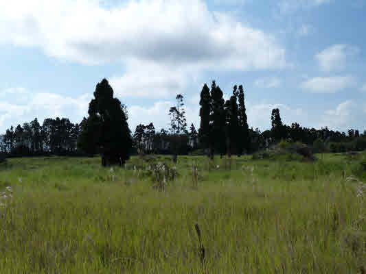 Volcano Hwy Property Photo 1