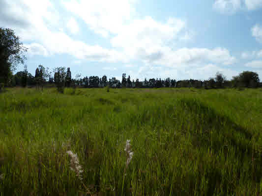 Volcano Hwy Property Photo 1
