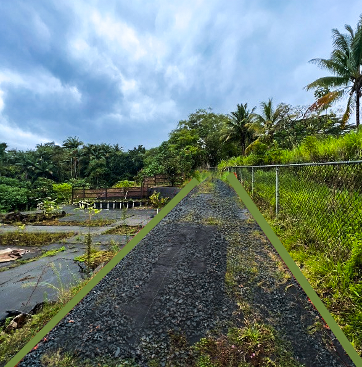 291 Wainaku Property Photo