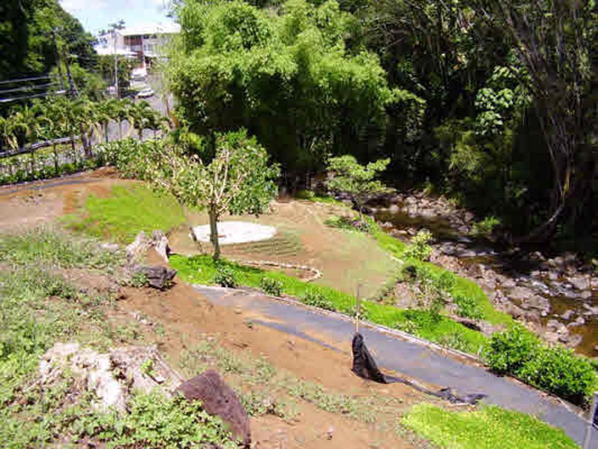 287 Wainaku St Property Photo 10
