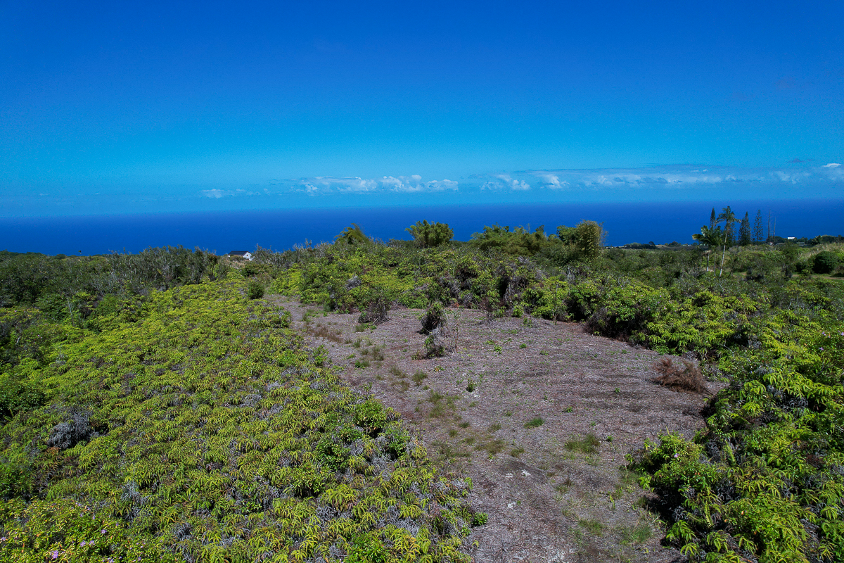 Piha Homesteads Property Photo