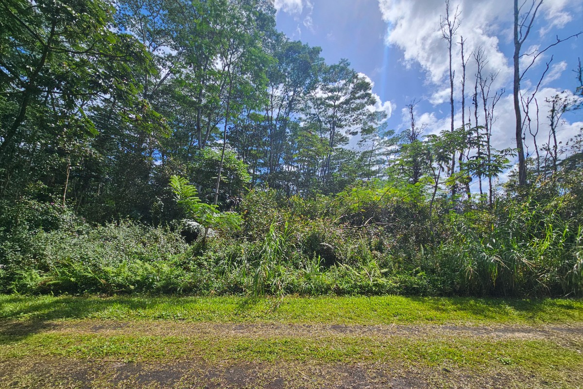 Ginger Rd Property Photo