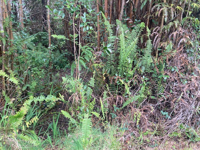 Road 5 Property Photo 1