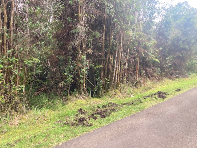 Road 5 Property Photo 2
