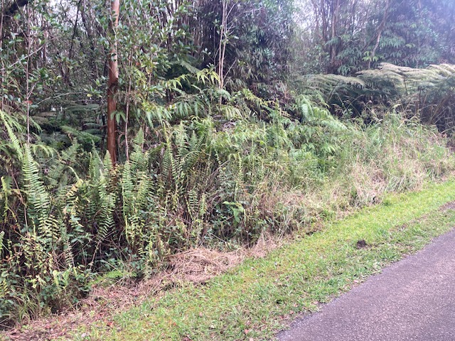 Road 5 Property Photo 3