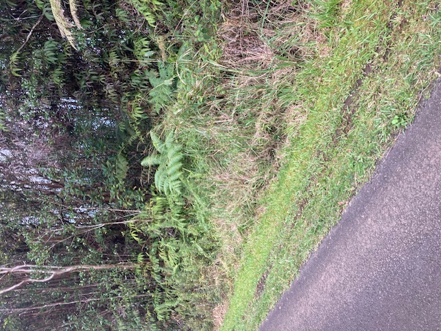 Road 5 Property Photo 5