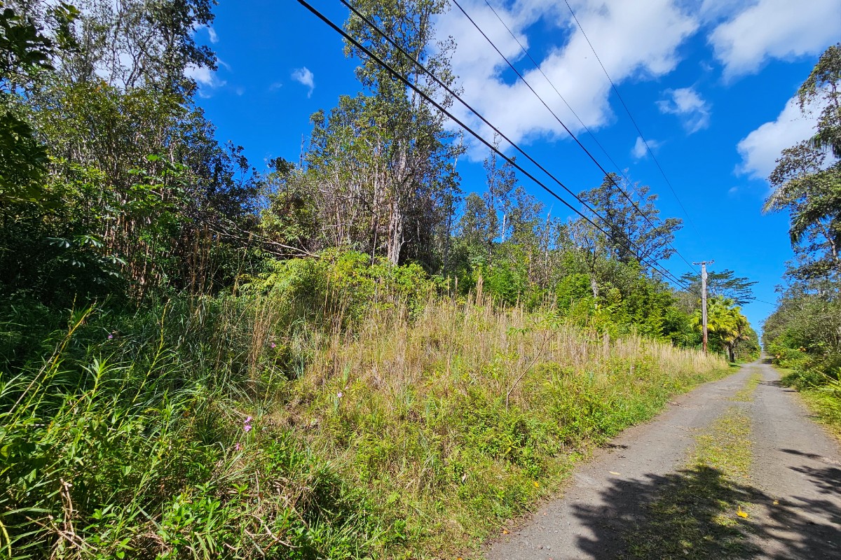Road 11 (pulelehua) Property Photo