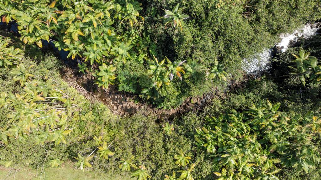 29-2584 Kaiwiki Homestead Rd Property Photo 7