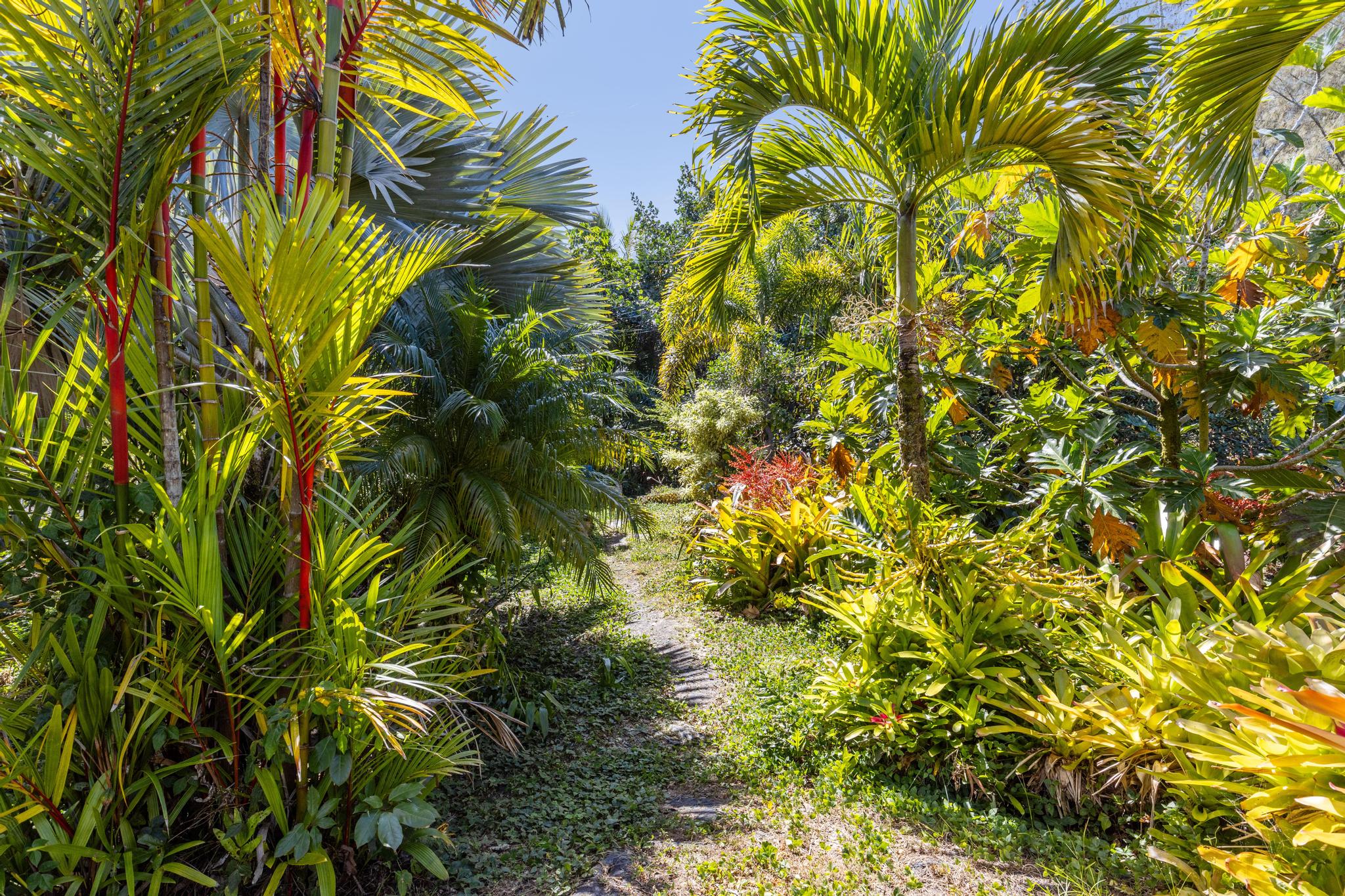 15-924 Paradise Ala Kai Dr Property Photo 28