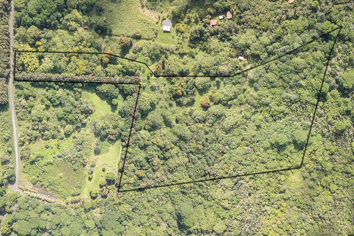 13-790 Kamaili Rd Lot 732 Property Photo 1