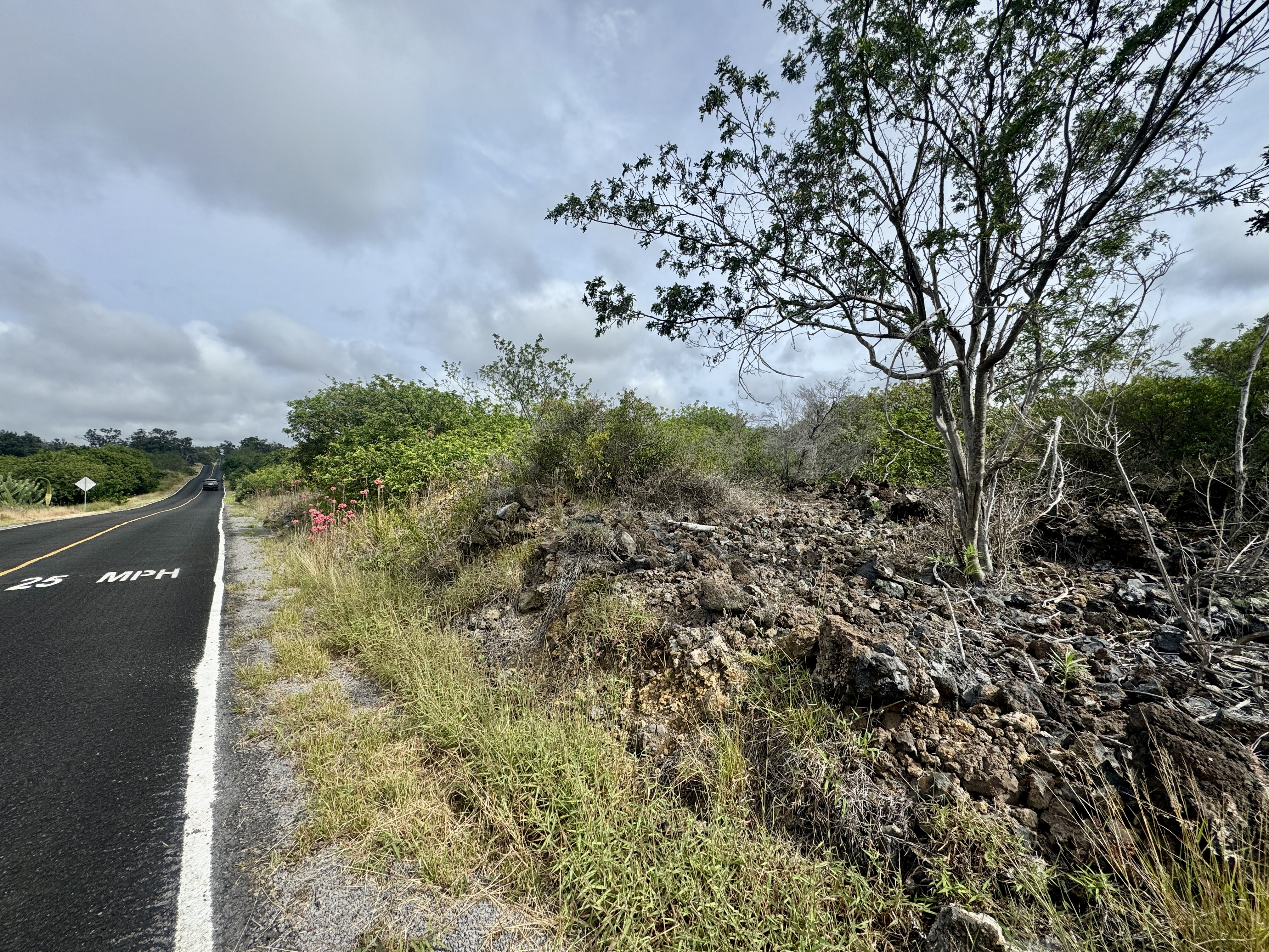 CATAMARAN LN Property Photo 1