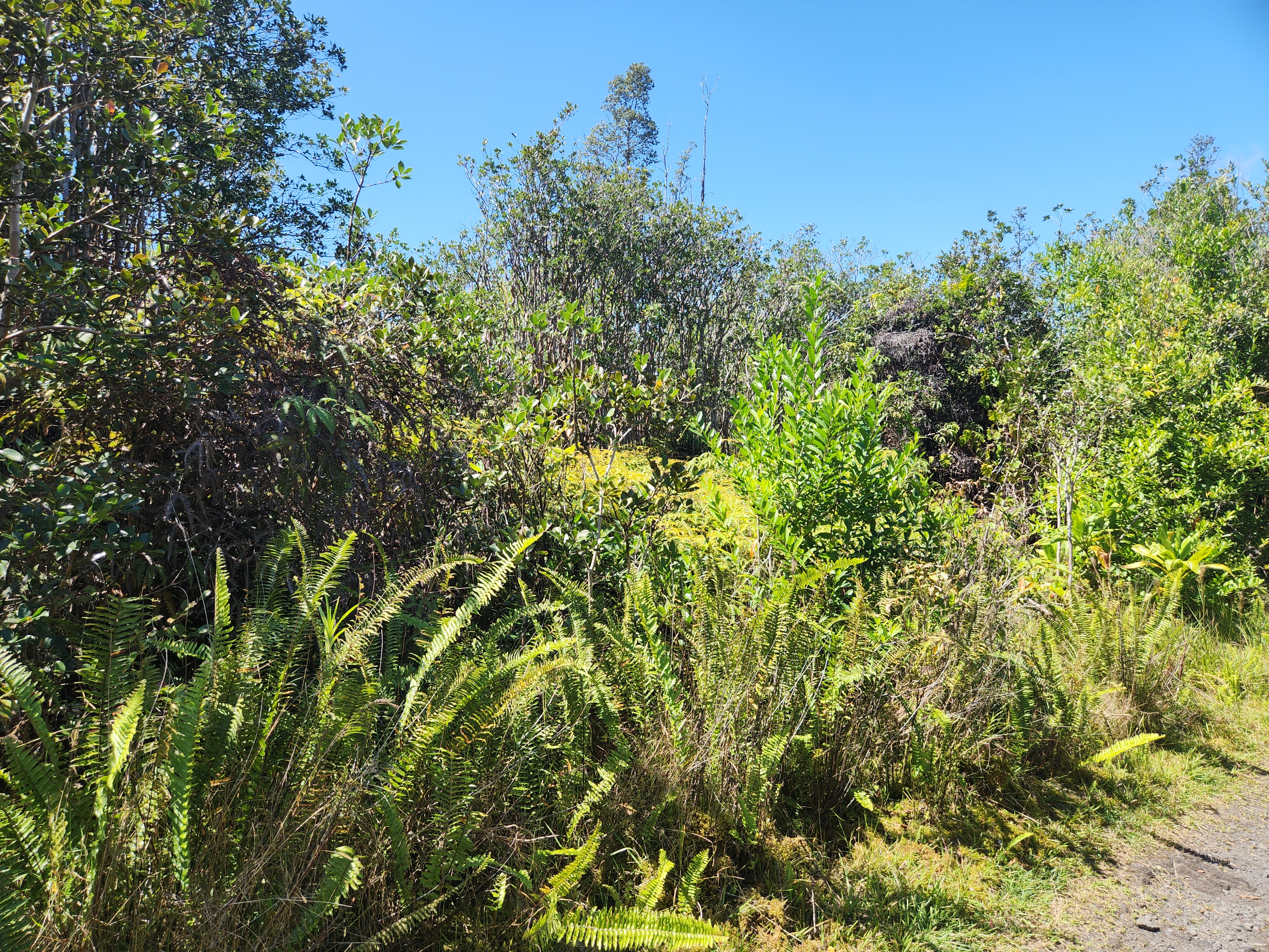 ROAD 6 (OOAA) Property Photo 1