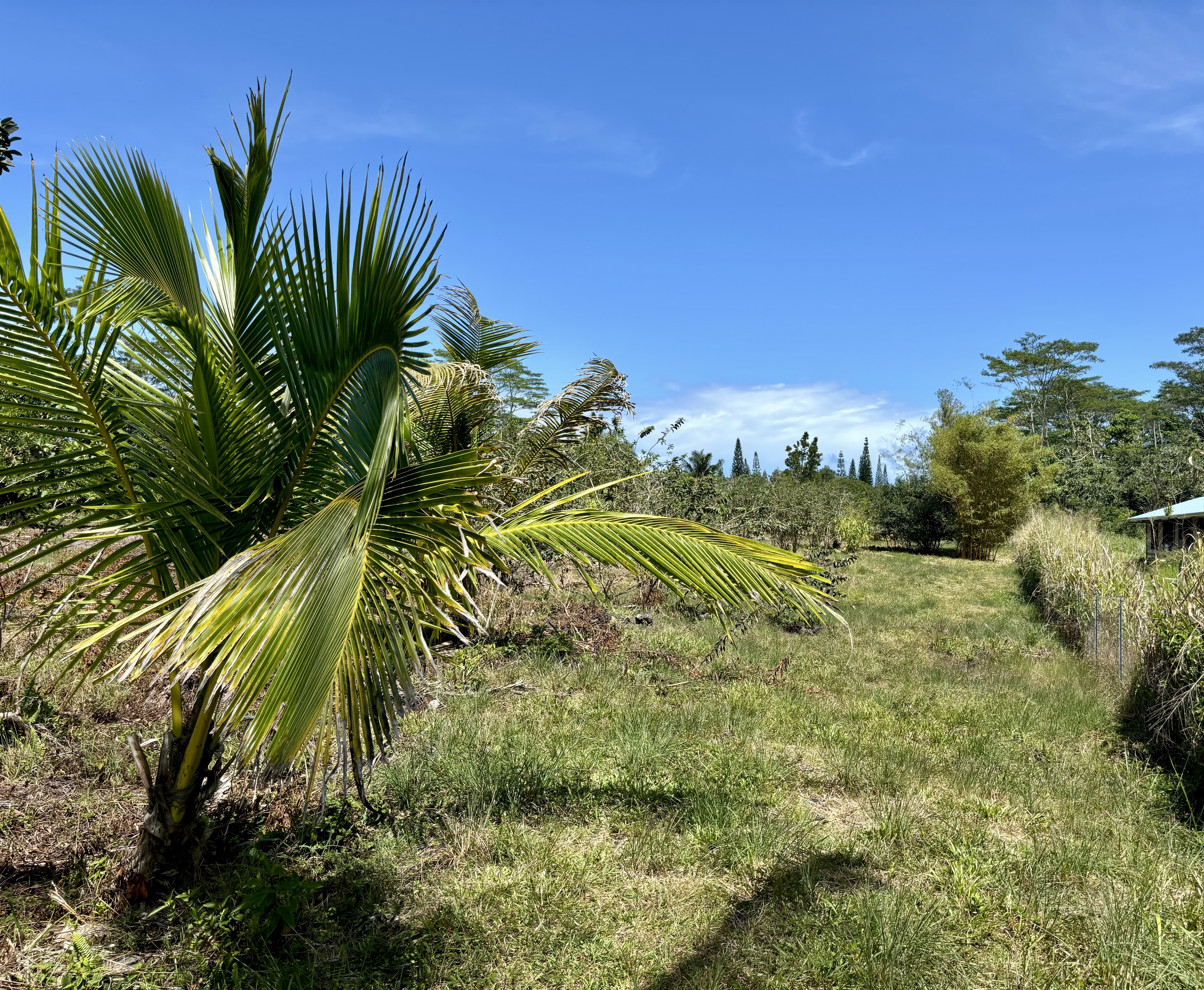 Keaau Real Estate Listings Main Image