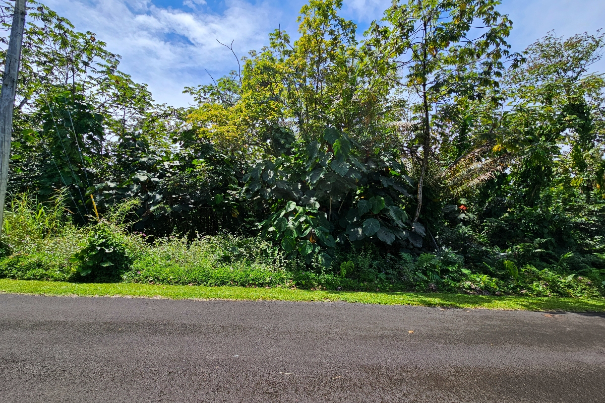 Opihi St Property Photo 1