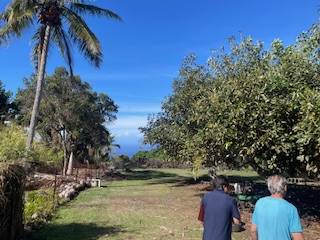 77-6316 Mamalahoa Highway Property Photo 12