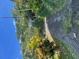 77-6316 Mamalahoa Highway Property Photo 18