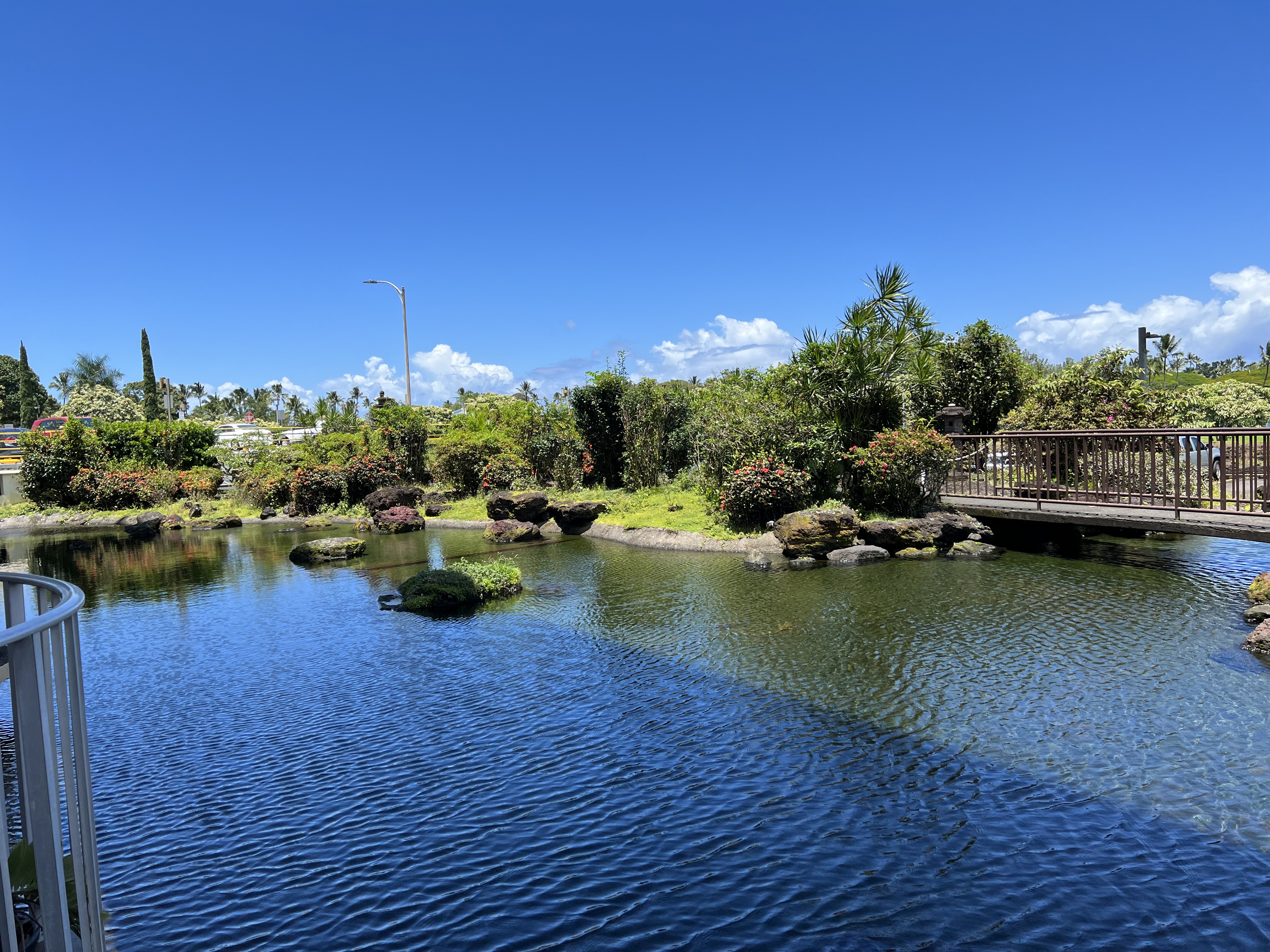 101 Hilo Lagoon Centre 105 Property Photo 1