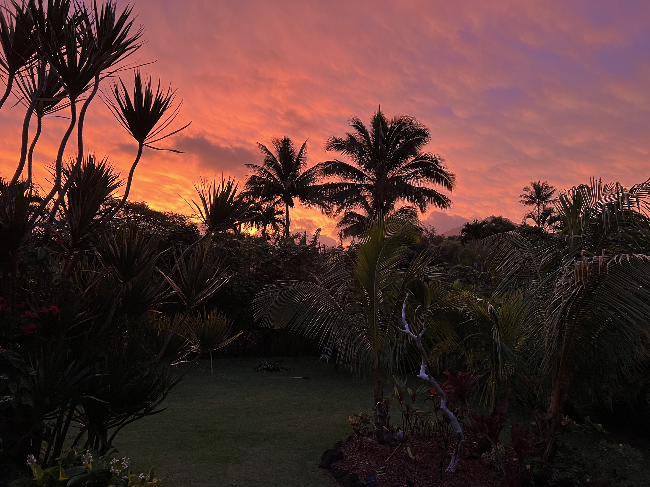 5-7330 Kuhio Hwy B Property Photo 30