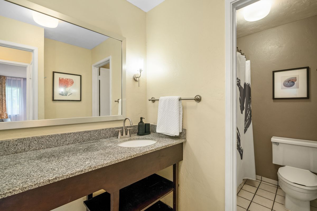 525 Aleka Lp B4 Property Photo 8