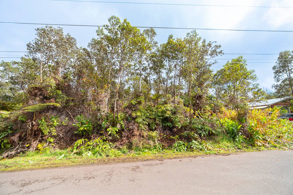 Ala Ohia St Property Photo 3