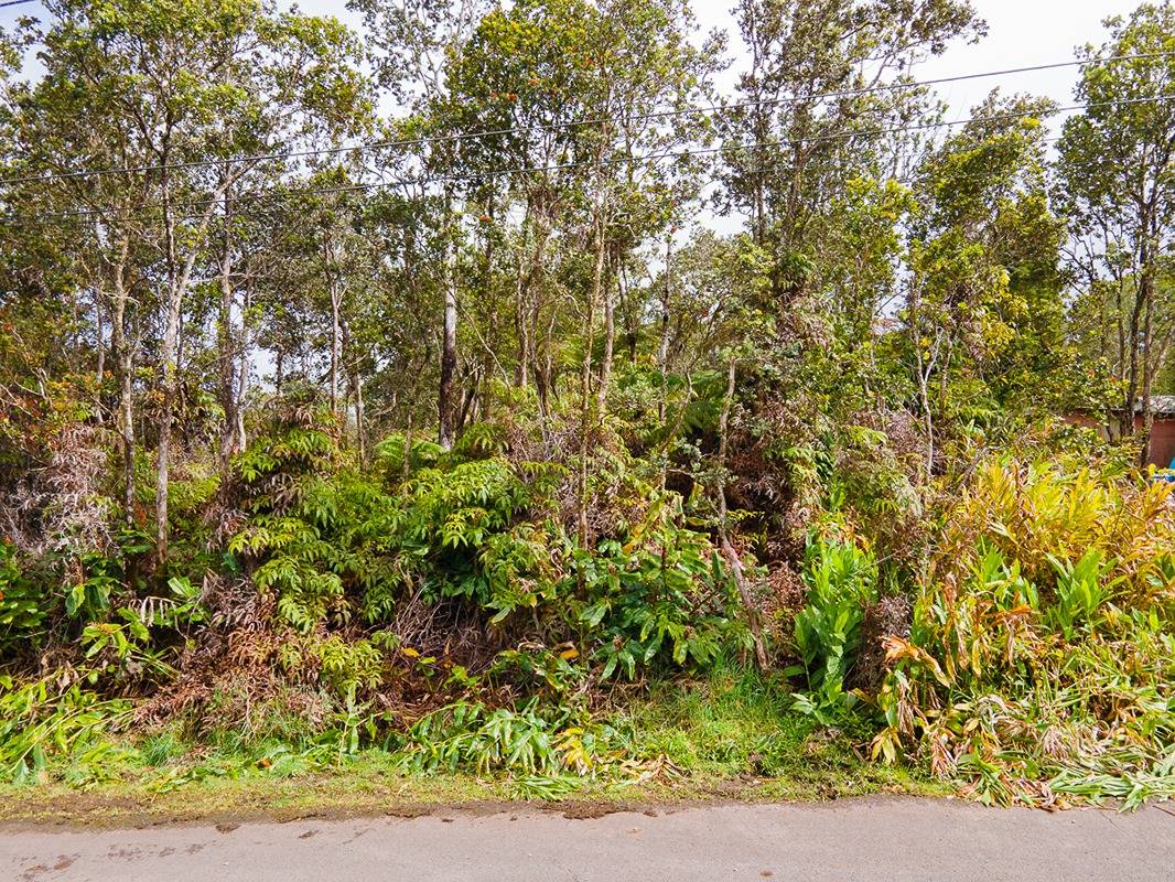 Ala Ohia St Property Photo 5