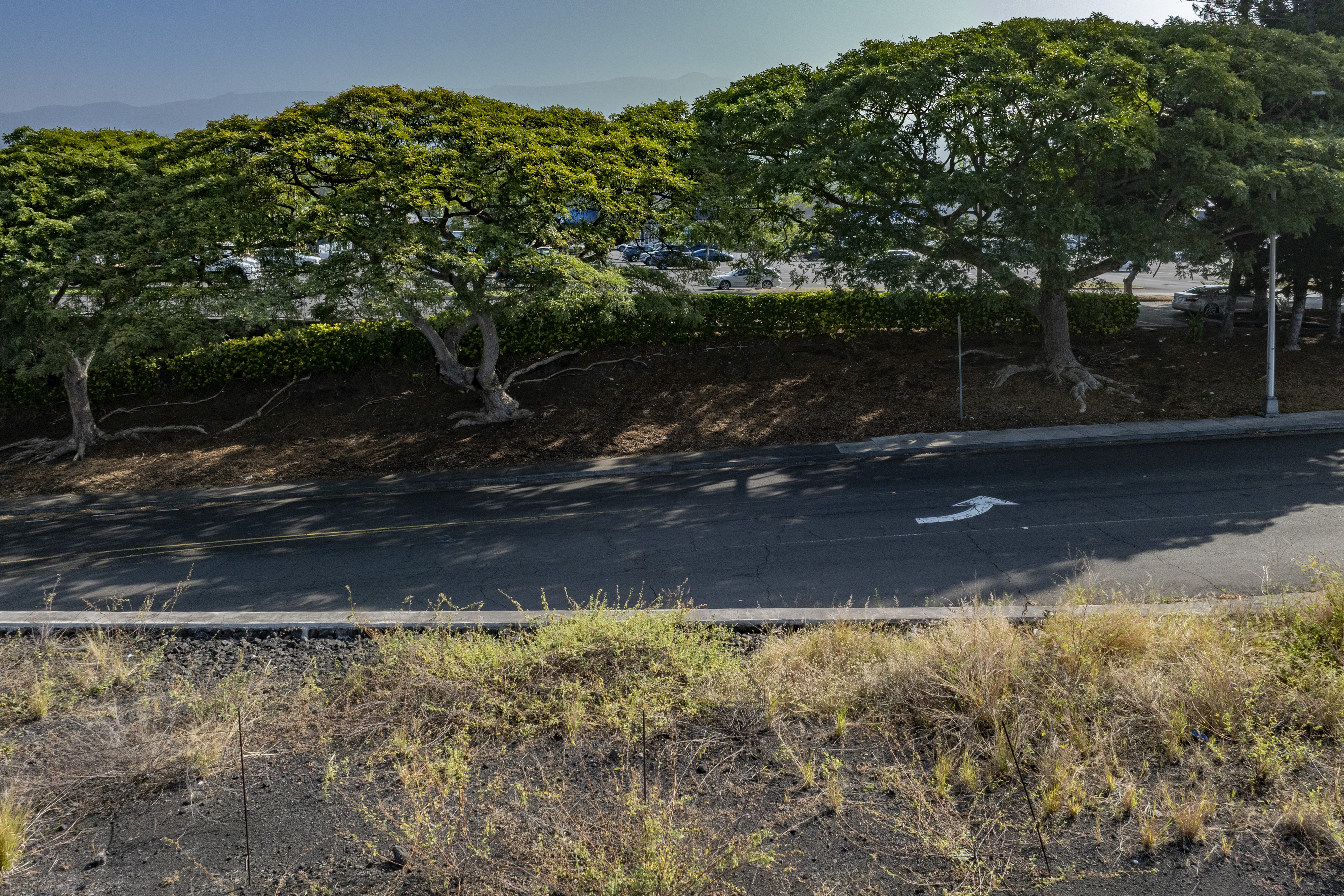 1111 Hale Kapili St Property Photo 6