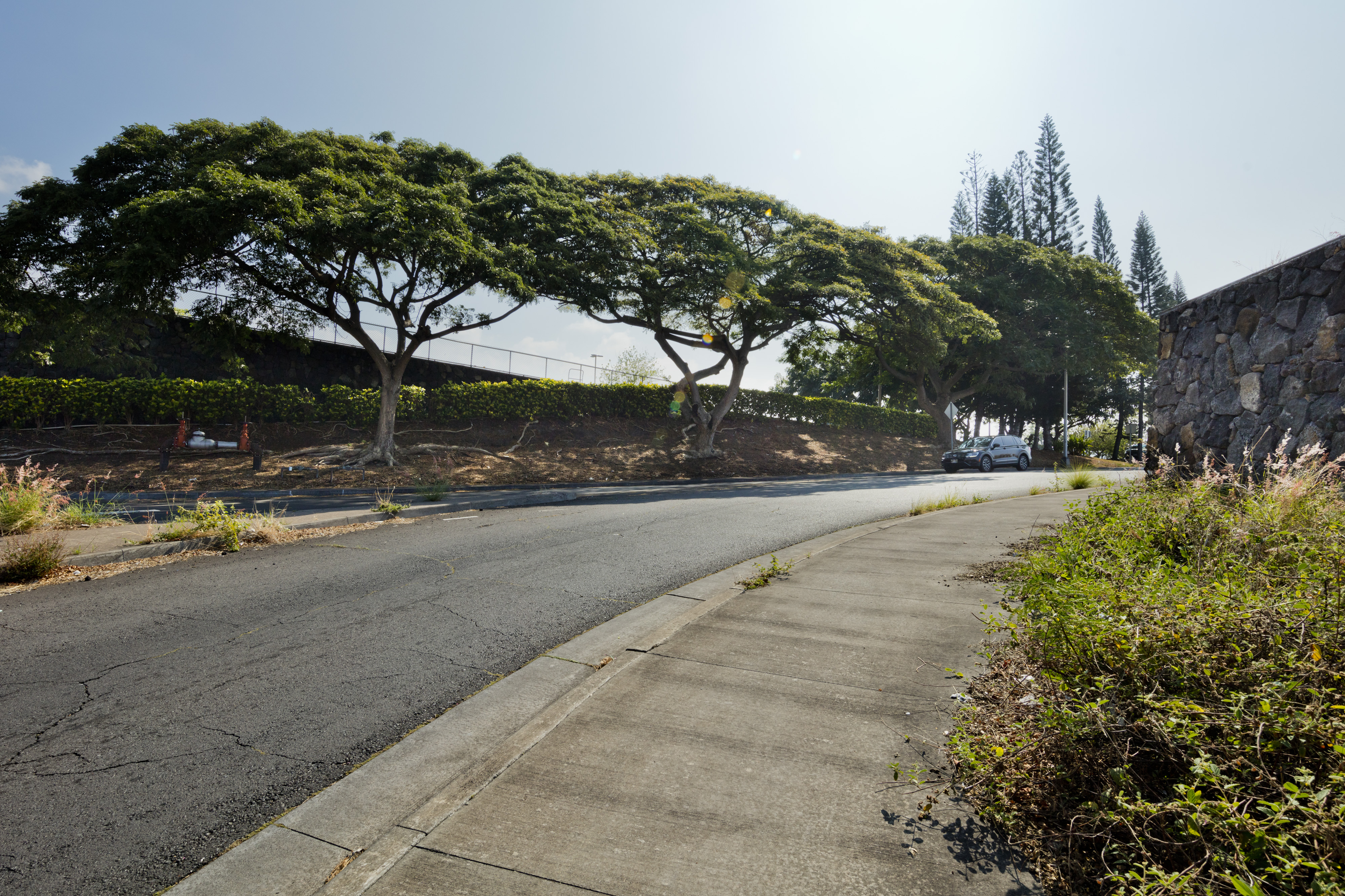 1111 Hale Kapili St Property Photo 14