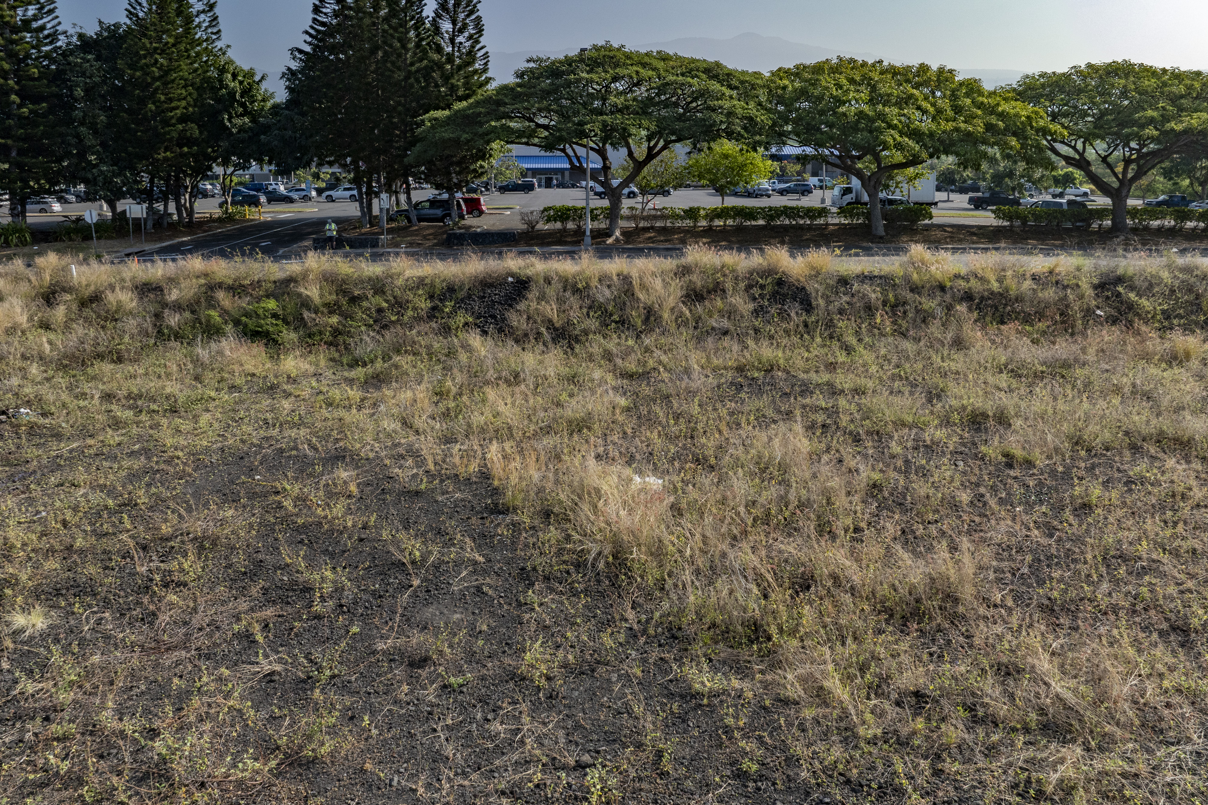 1111 Hale Kapili St Property Photo 8