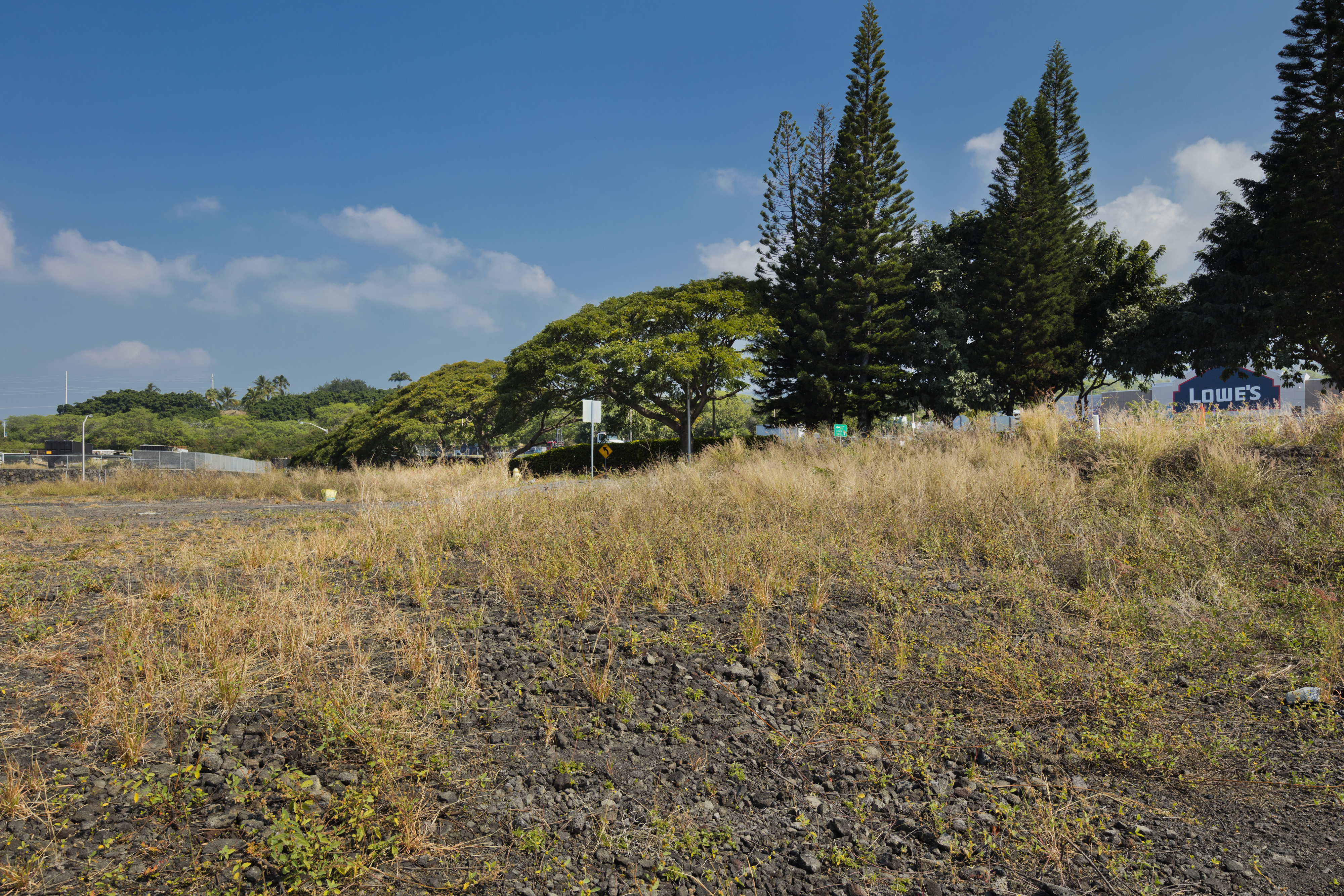 1111 Hale Kapili St Property Photo 17