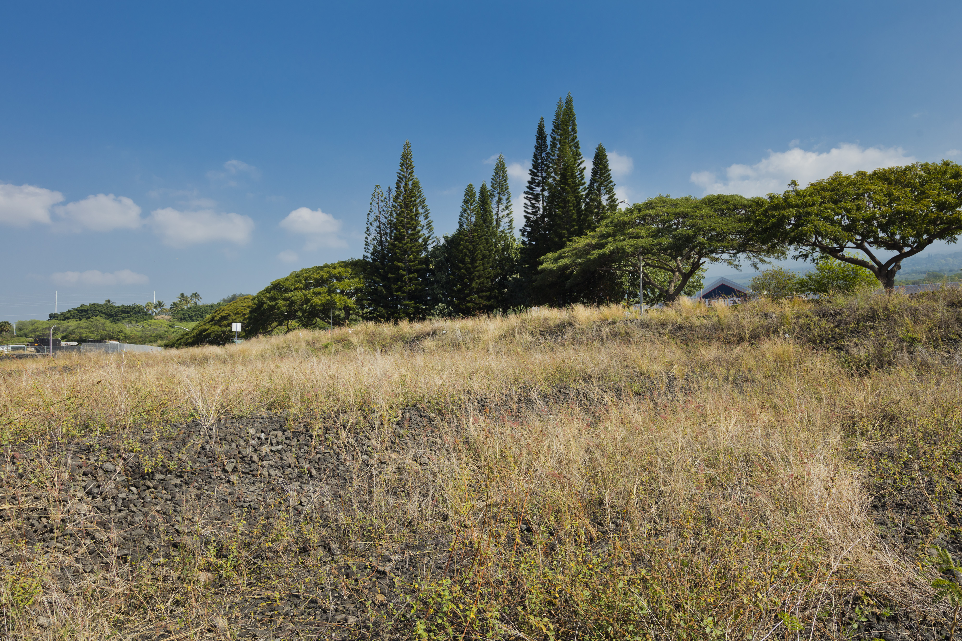 1111 Hale Kapili St Property Photo 20
