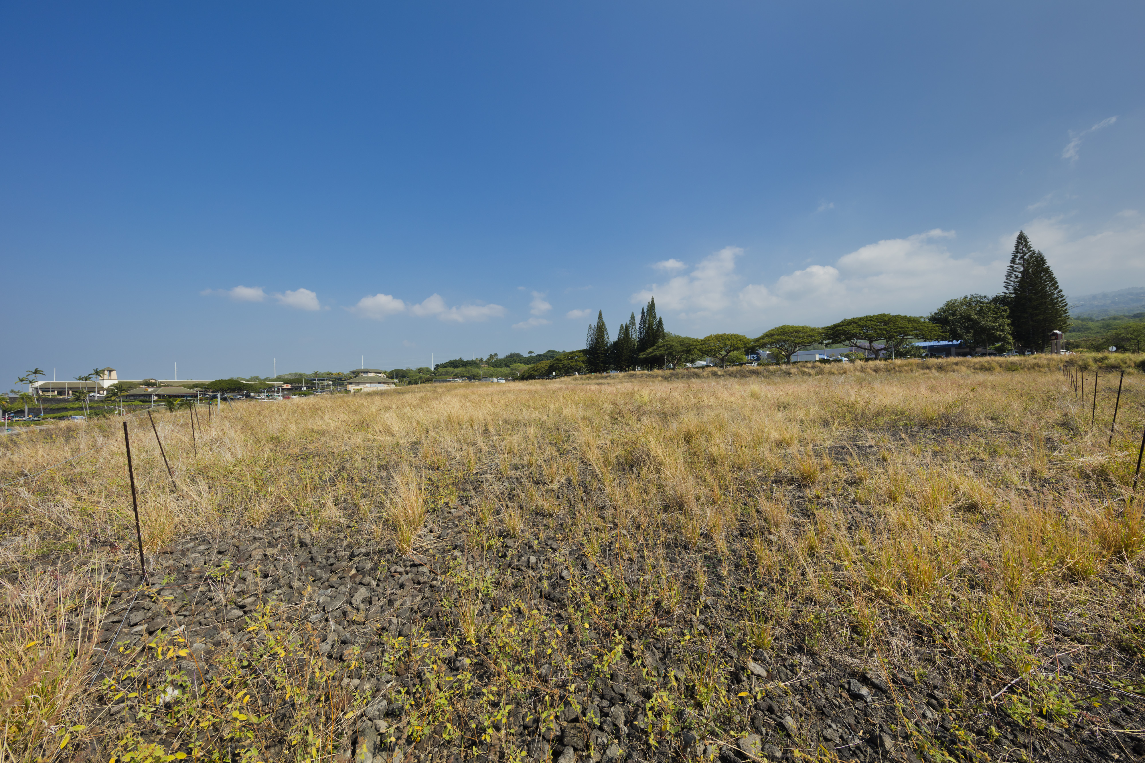 Hale Kapili St Property Photo 1