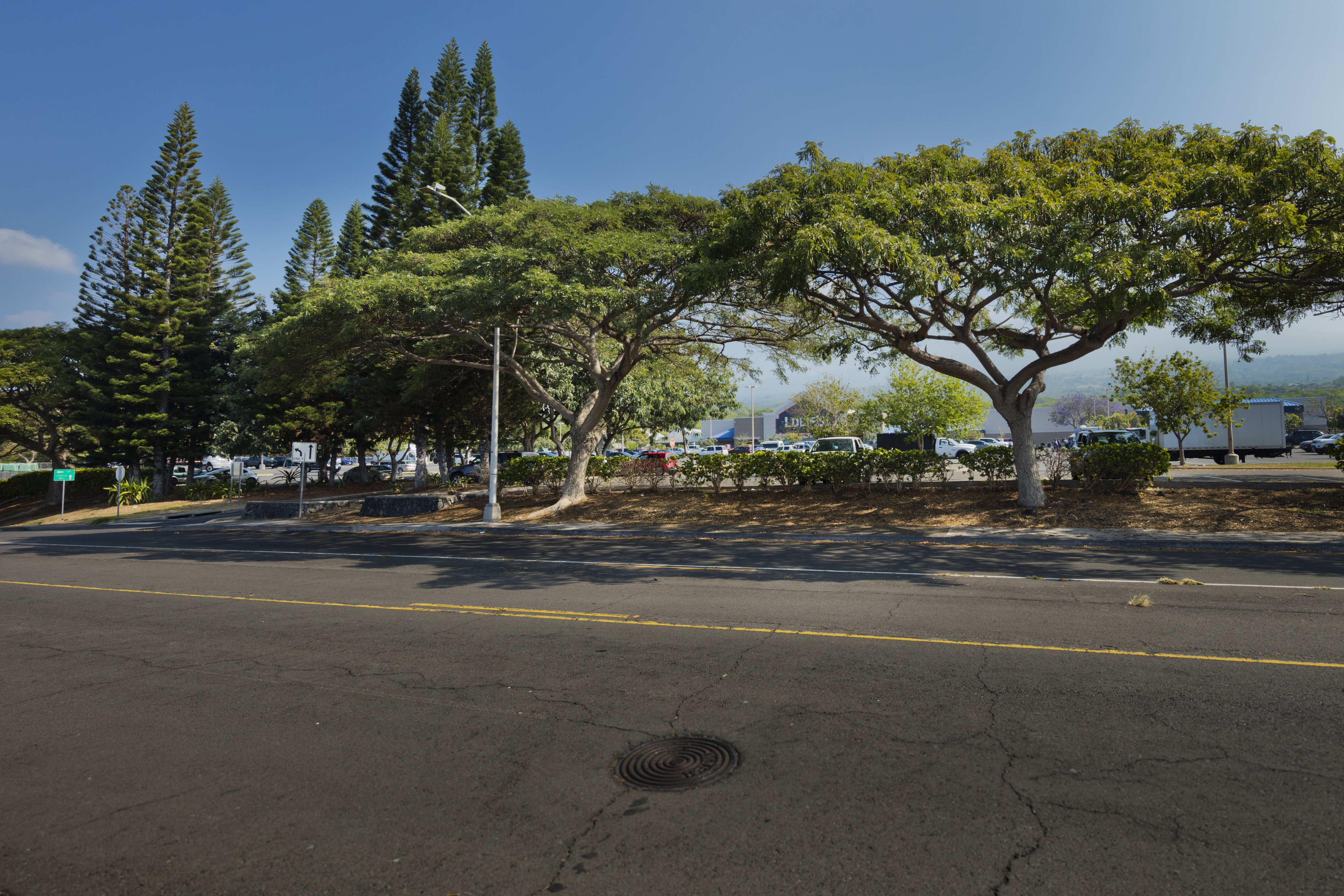 Hale Kapili St Property Photo 4