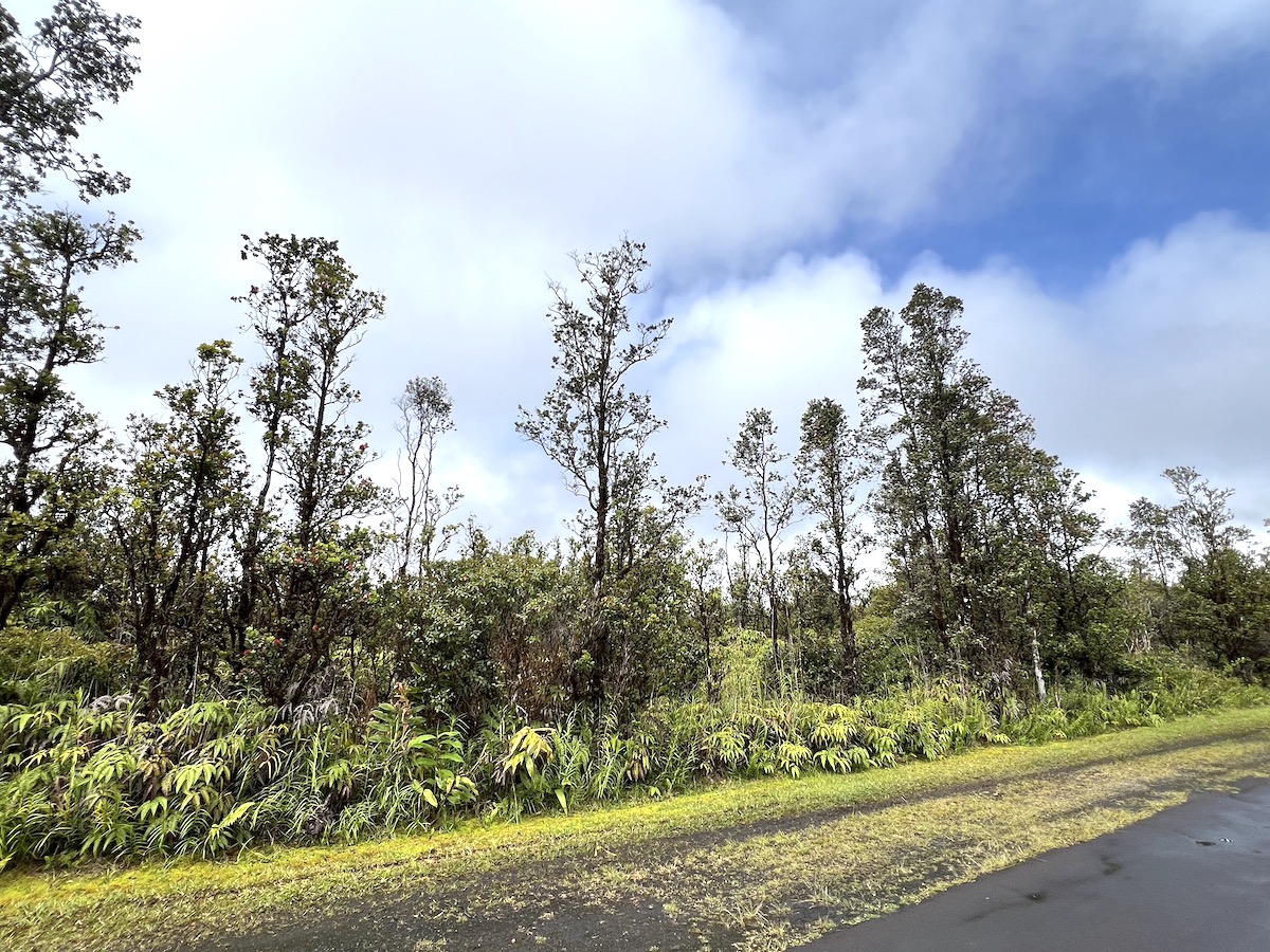 Palainui Ave Property Photo 1