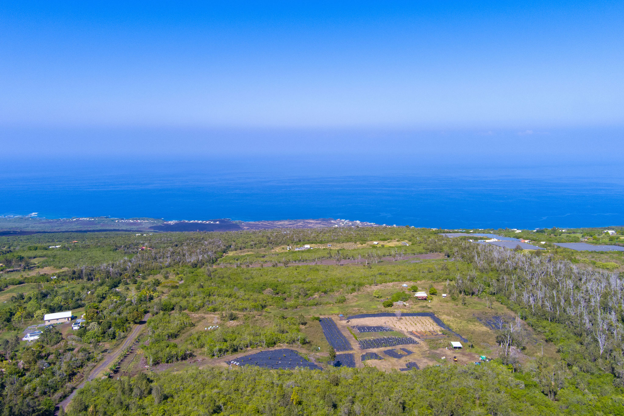 12 Hawaii Belt Property Photo 1