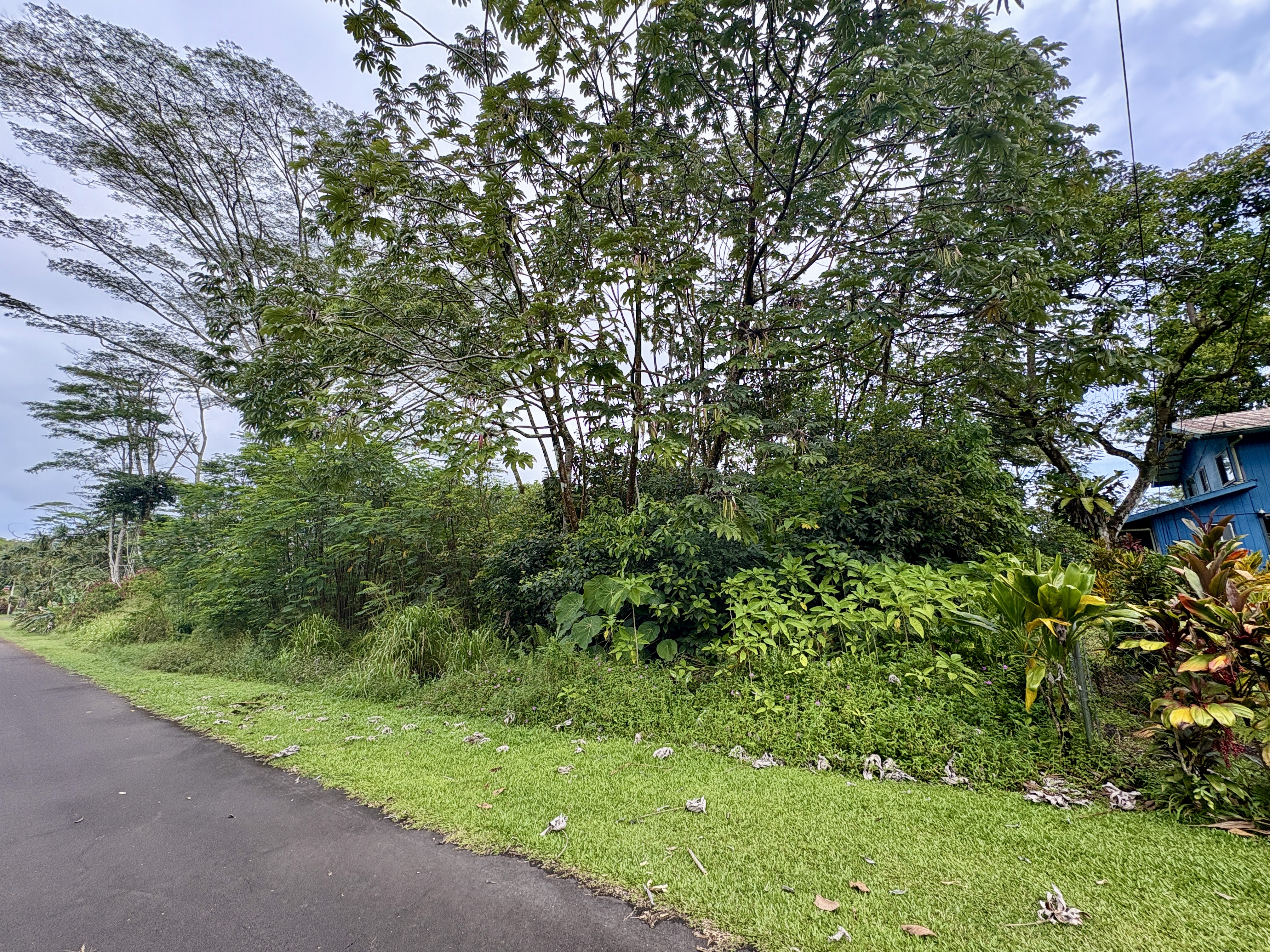 Nehu St Property Photo