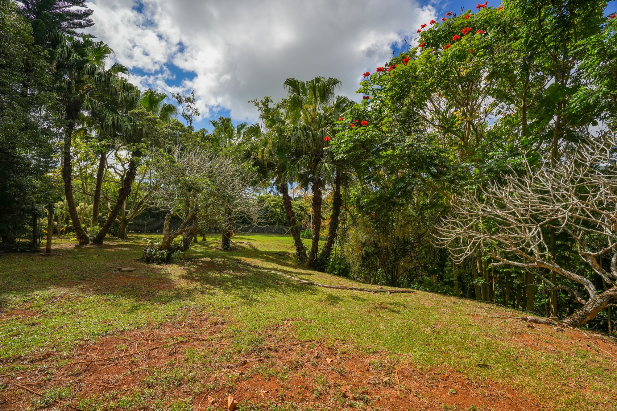 6052 Hauiki Rd 1 Property Photo 10