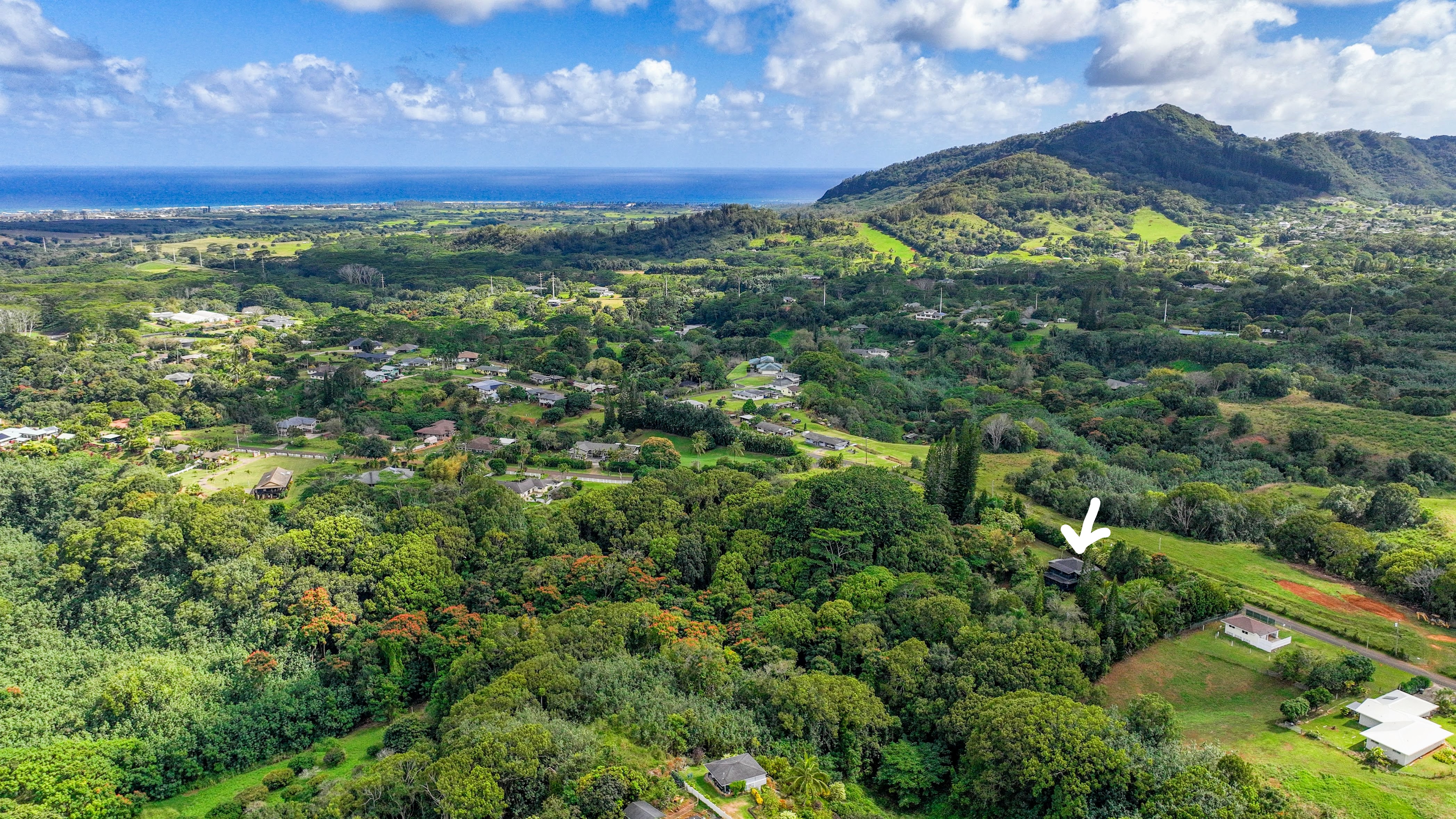 6052 Hauiki Rd 1 Property Photo 21