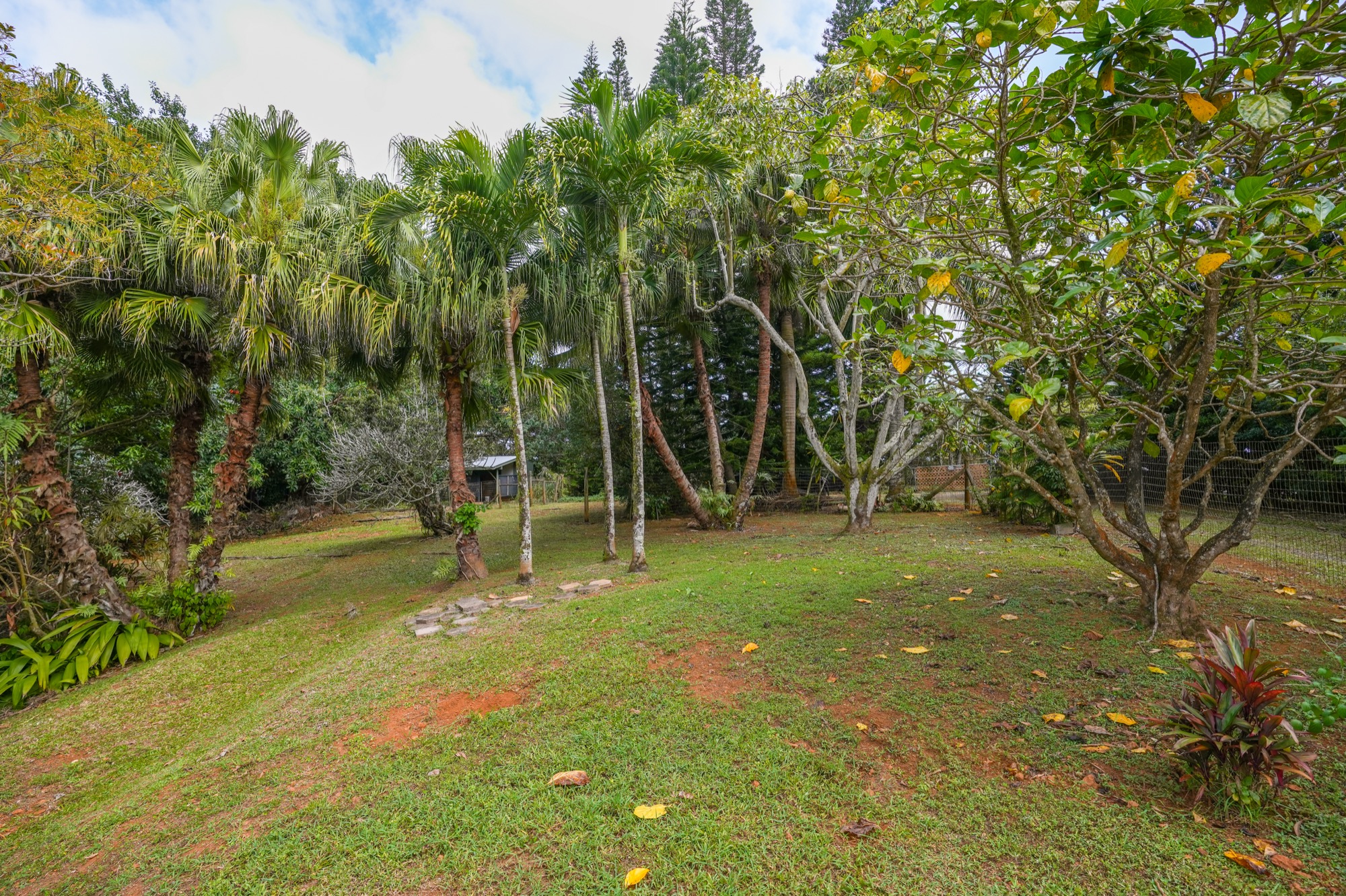 6052 Hauiki Rd 1 Property Photo 23