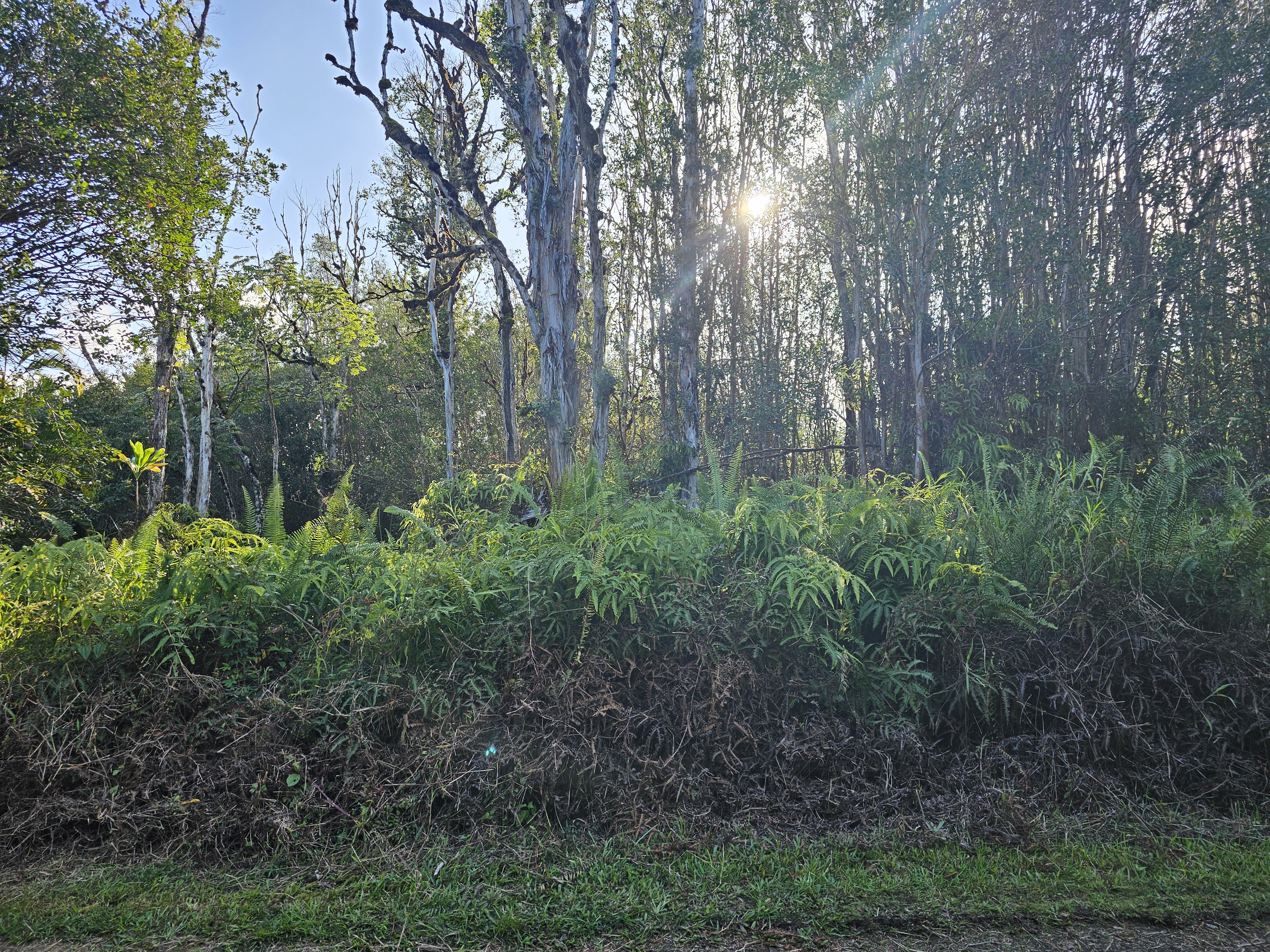 Road 6 (ooaa) Property Photo 1