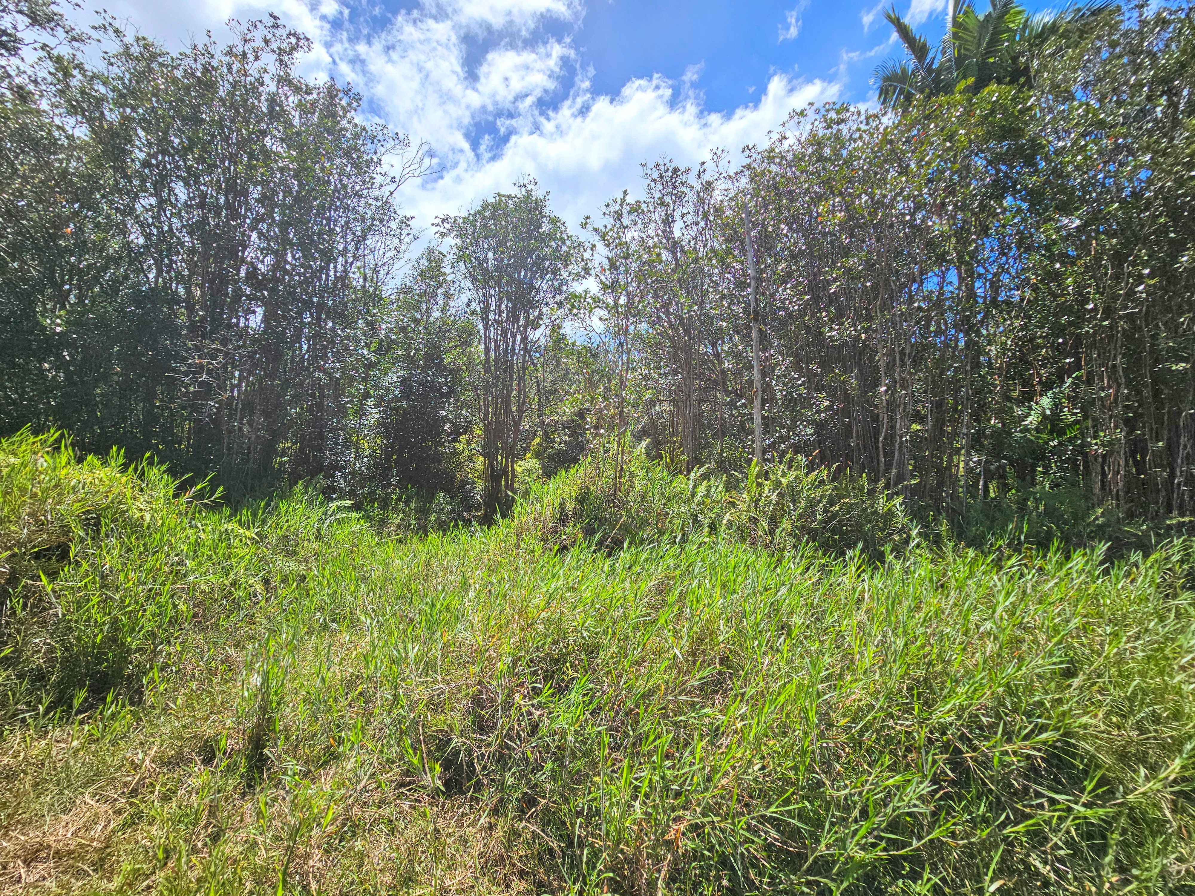 Road 9 (koloa Maoli) Property Photo
