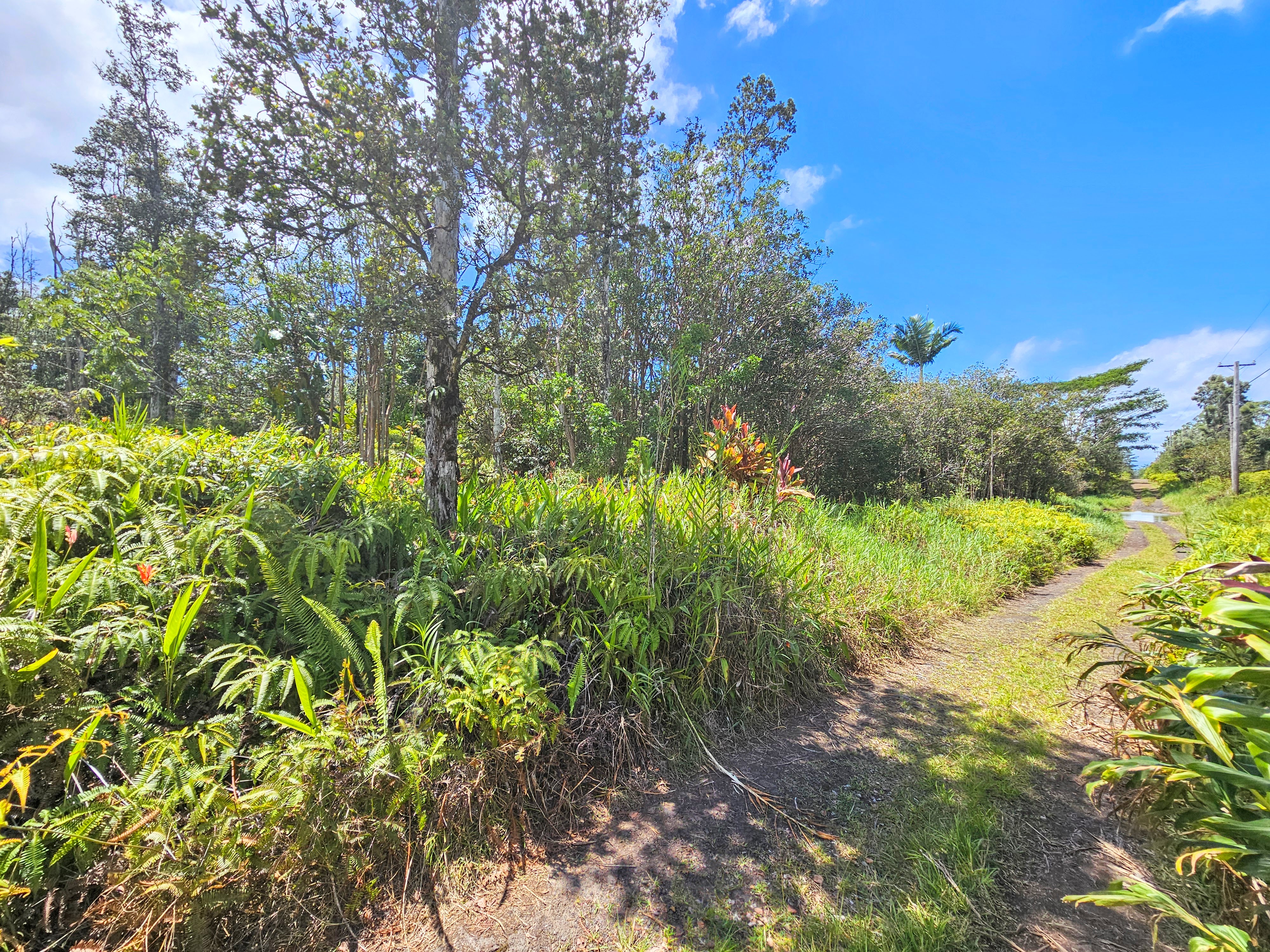 Road 9 (koloa Maoli) Property Photo