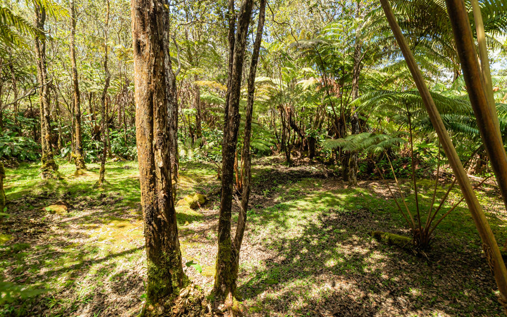 11-3300-a Ala Oki Pl Property Photo