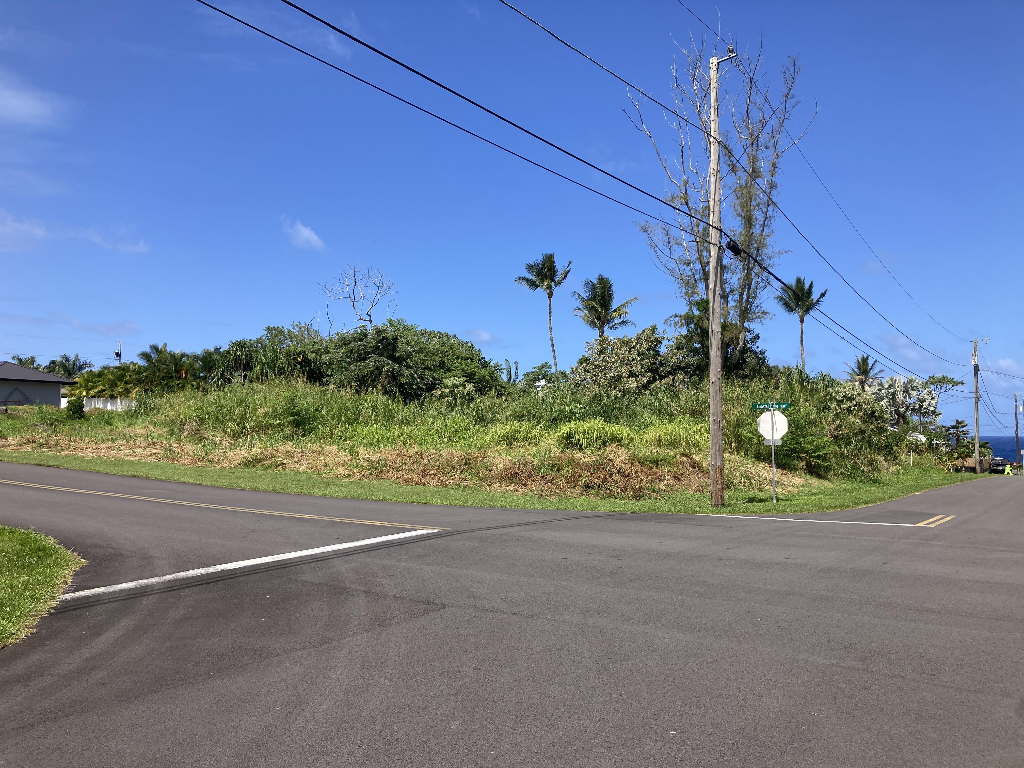 Puna Pkwy Property Photo