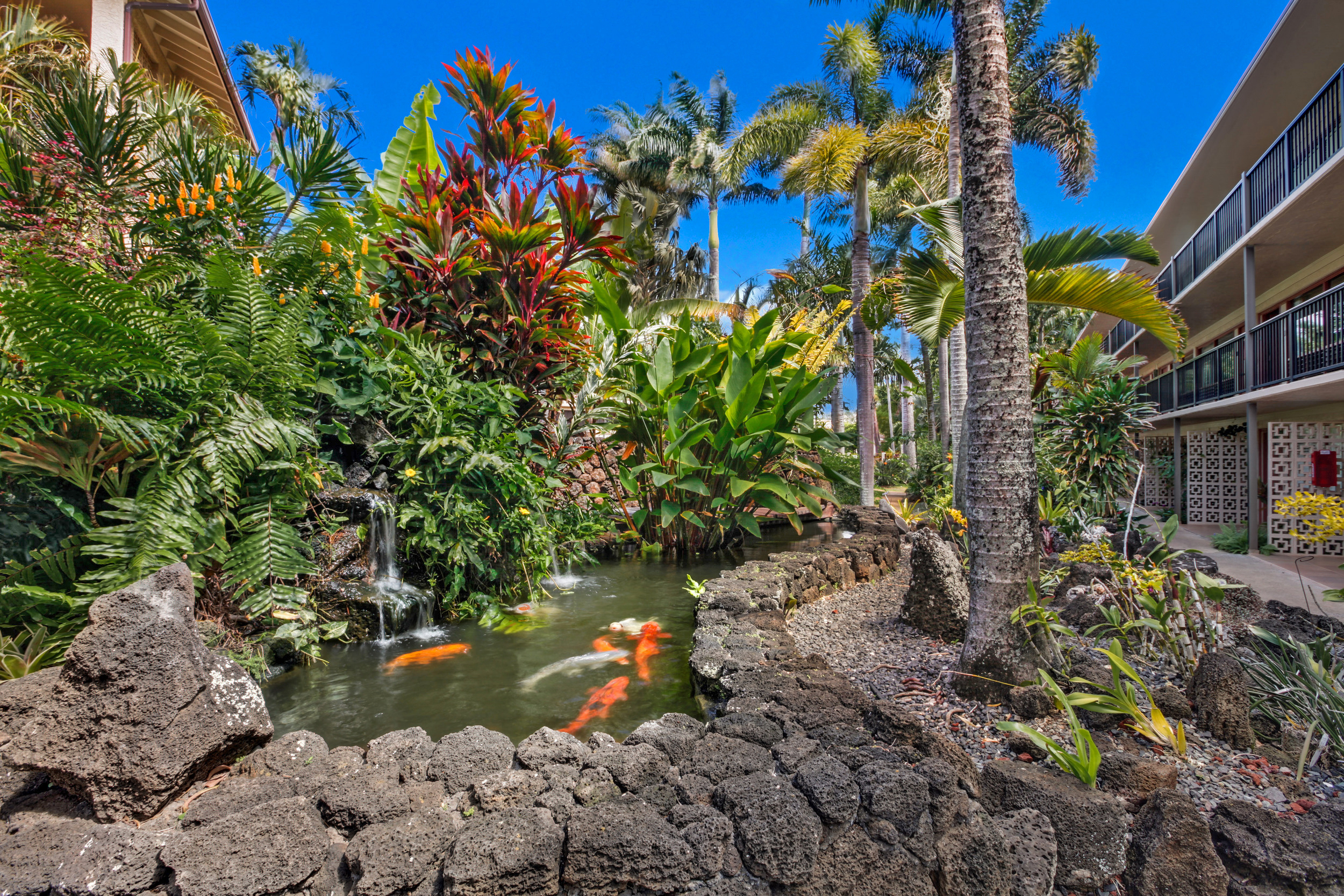 5061 Lawai Rd 203 Property Photo 17