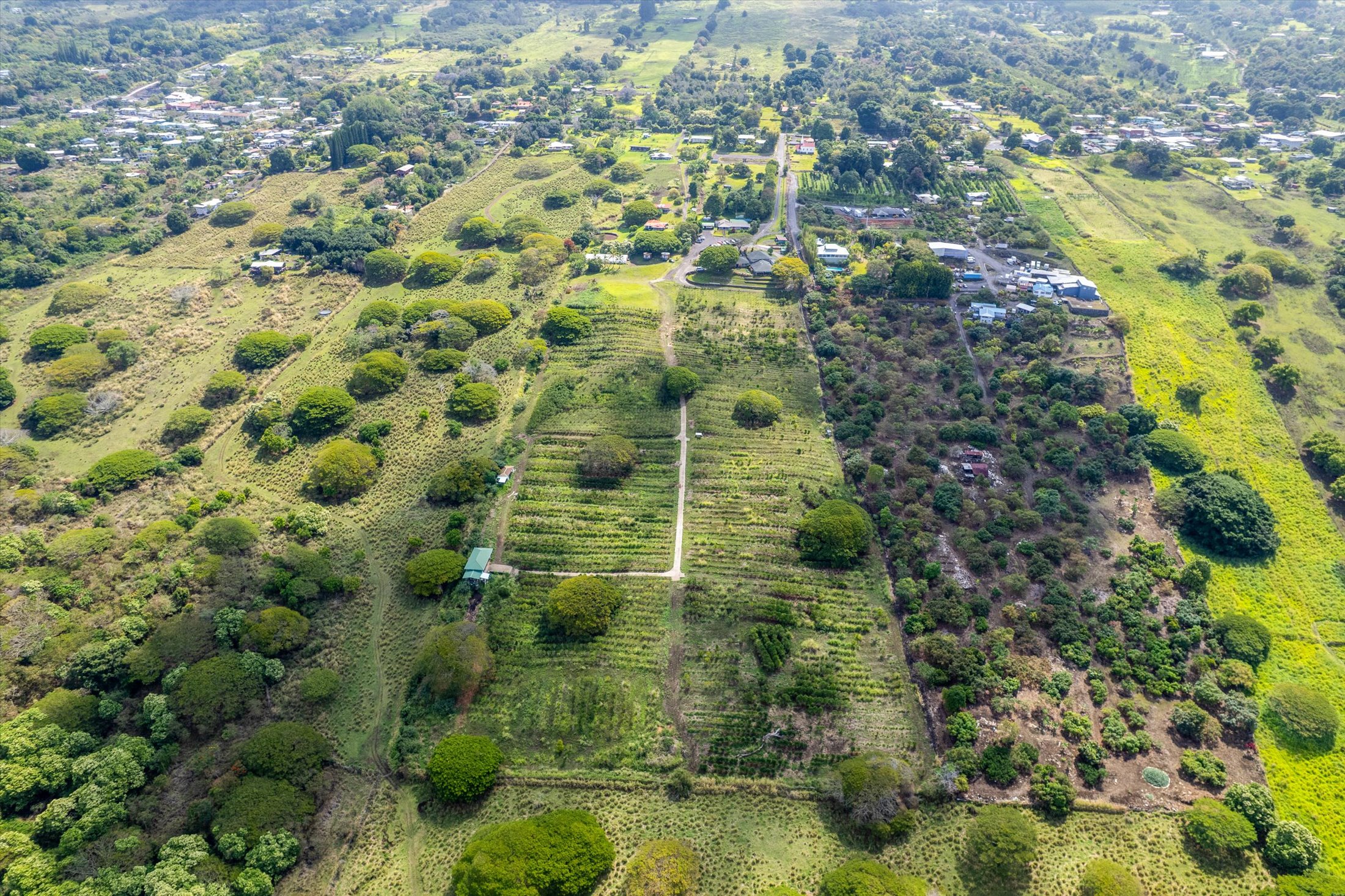 79-7346 Hawaii Belt Rd Property Photo 25