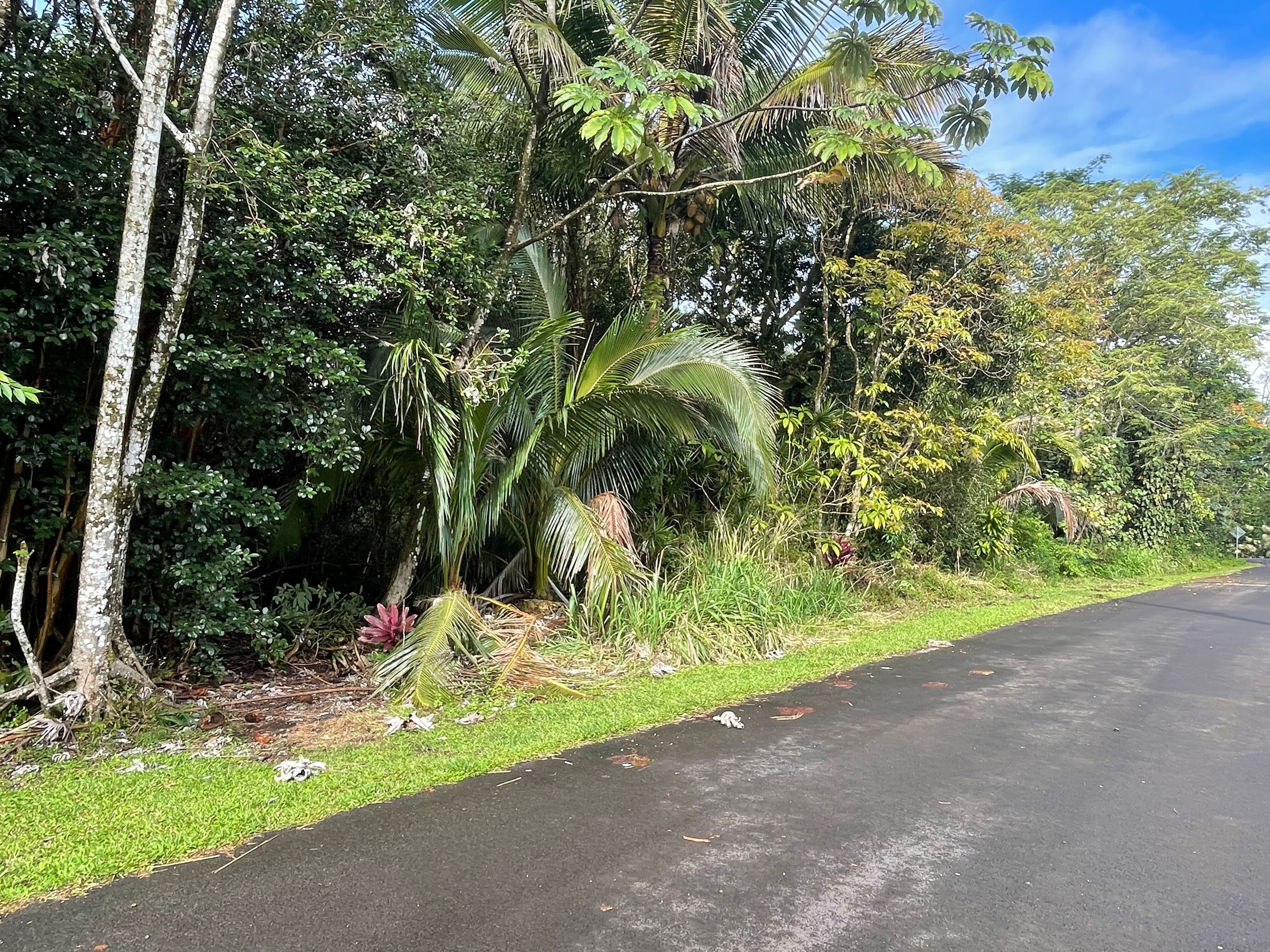 S Hinalea St Property Photo