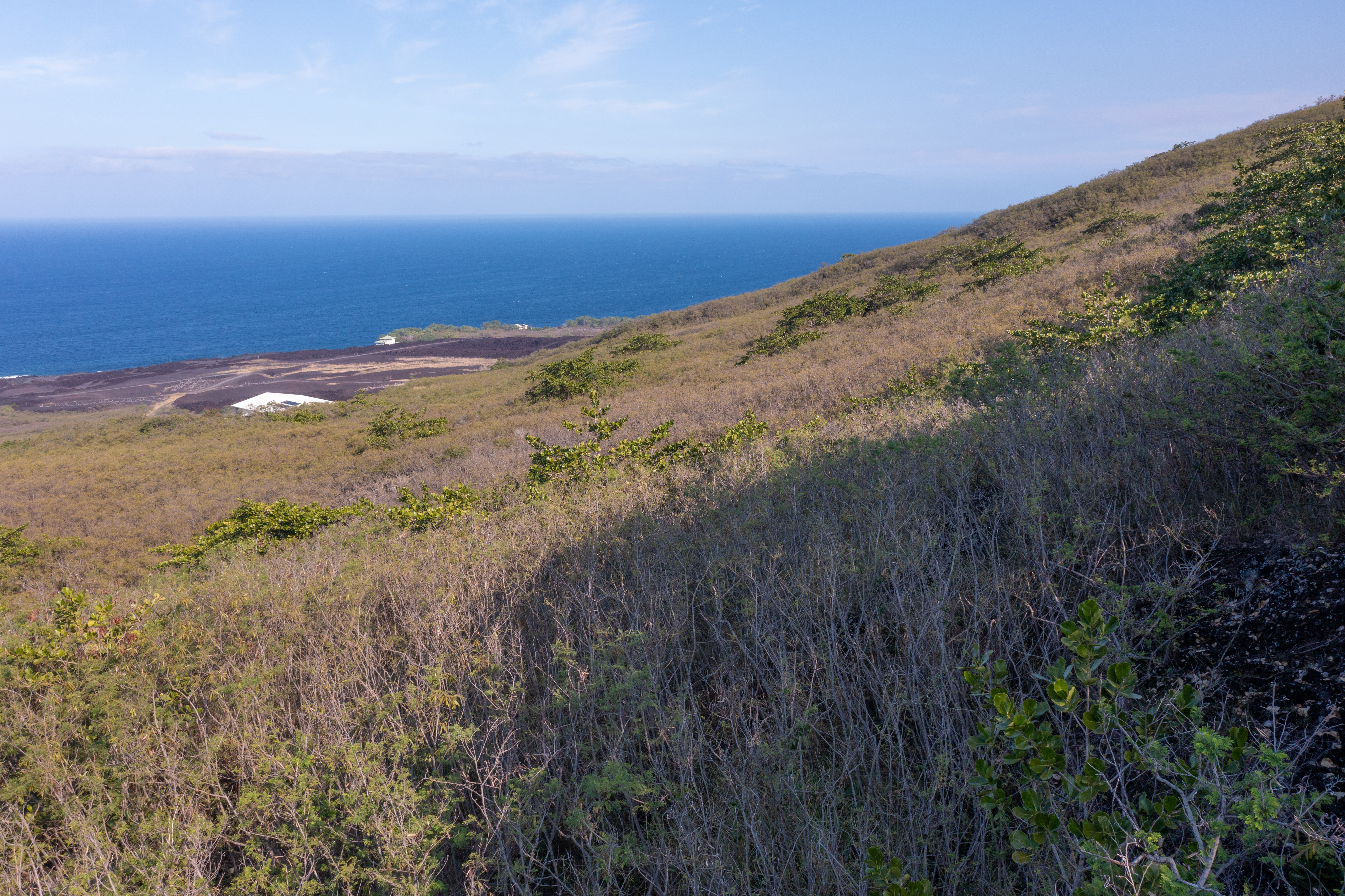 Guava Rd Property Photo 4