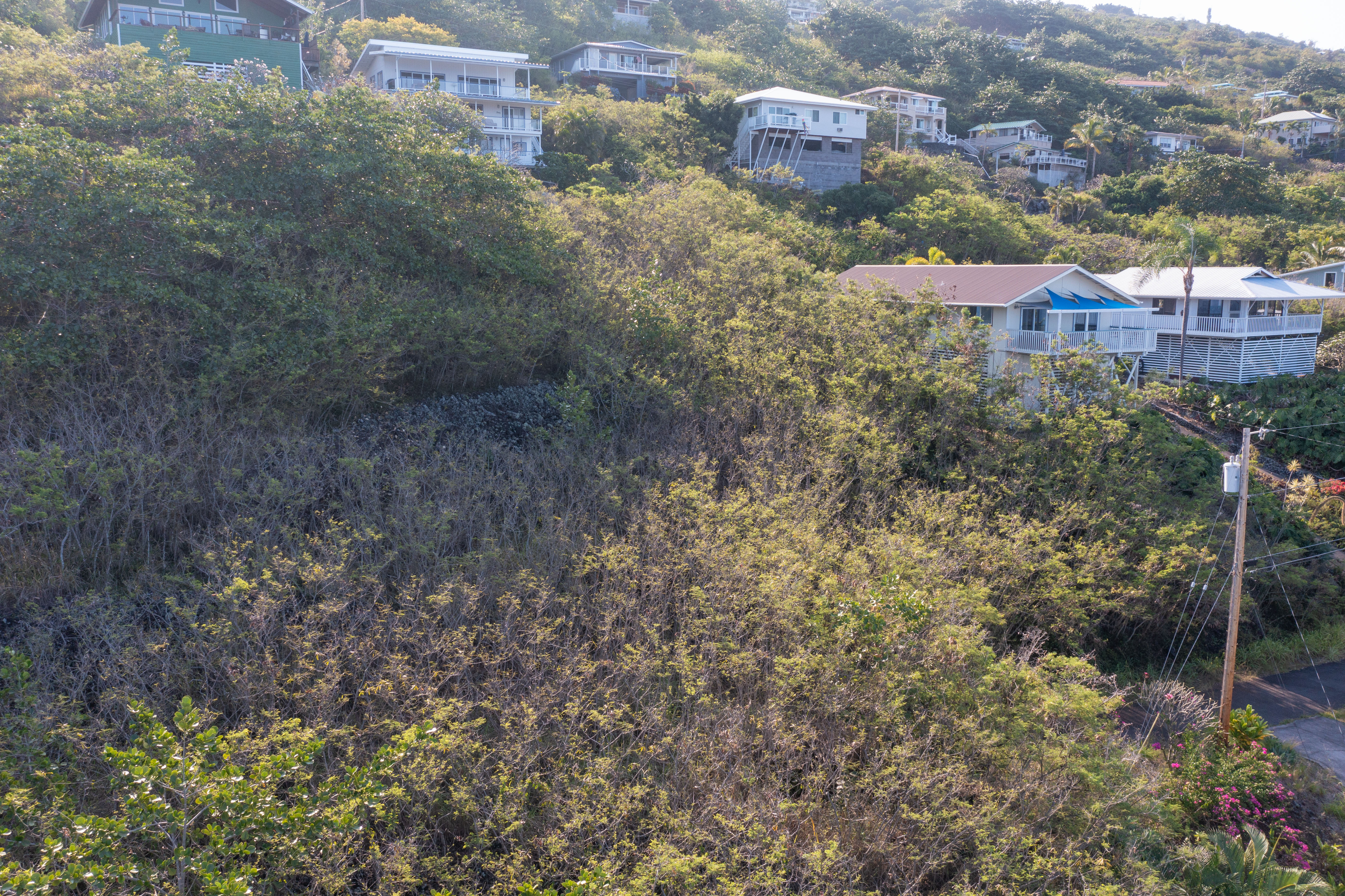 Guava Rd Property Photo 14